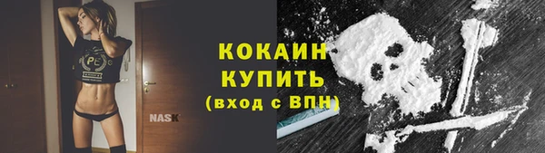 спиды Михайлов