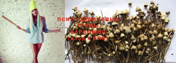 спиды Михайлов
