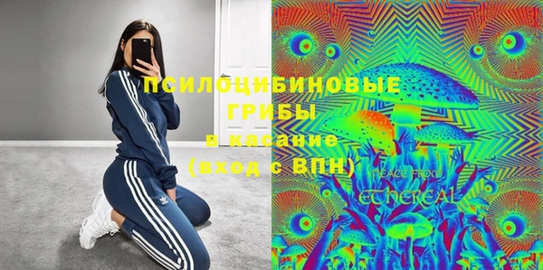 спиды Михайлов