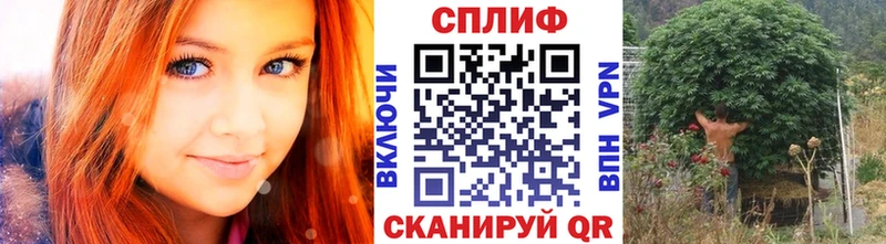 Канабис OG Kush  закладка  Лебедянь 